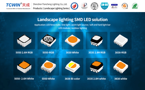 TcwinアドレッサブルドライバーIC SMD LED RGBWサイドビュー発光LEDストリップライトled pro max