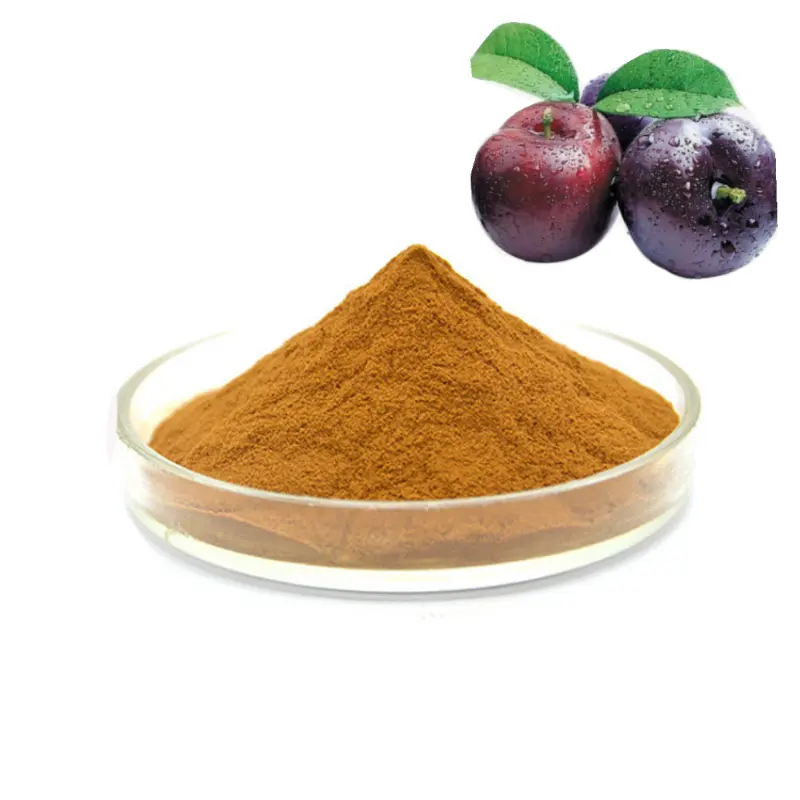 Factory Price food grade dark plum fruit extract 10:1 Dark Plum powder