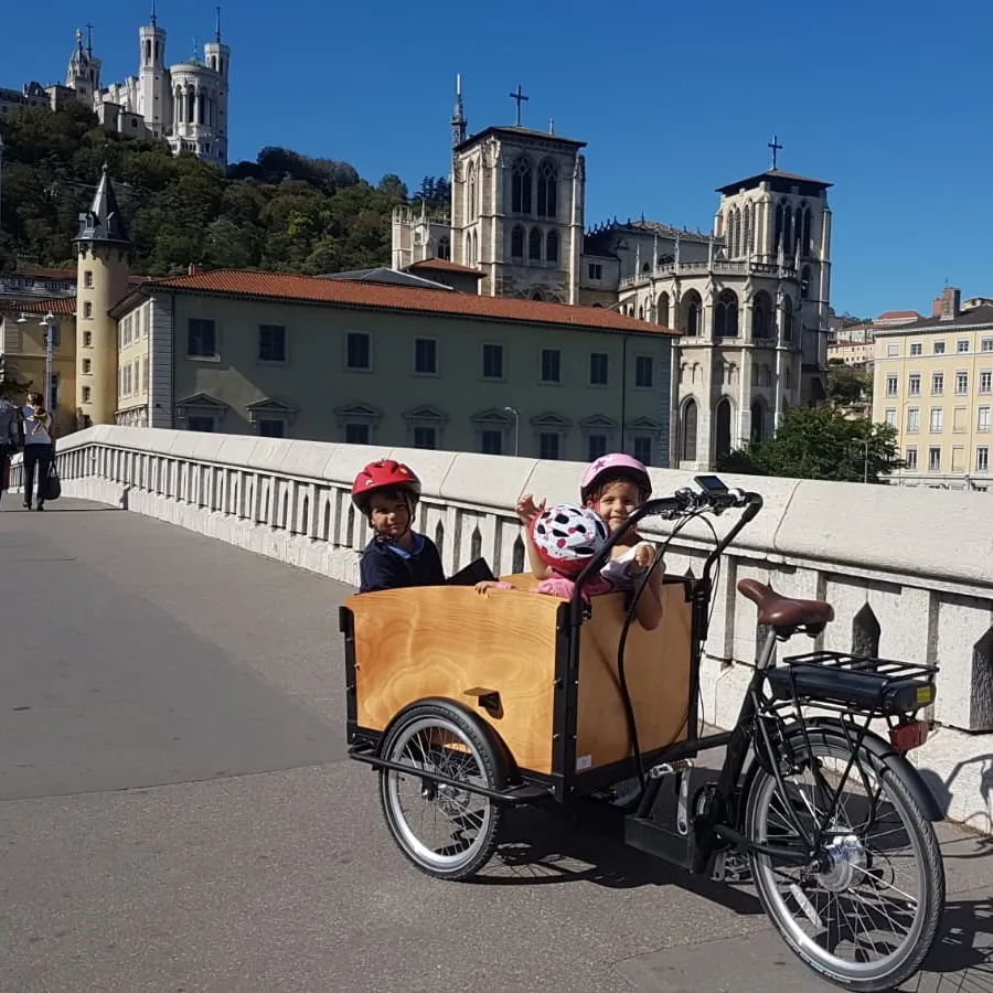 Vendita calda della bici del carico di mobilità elettrica a 3 ruote del magazzino adulto dell'europa con la bici di assistenza del pedale della scatola di legno anteriore