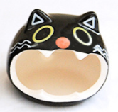 Chat noir L