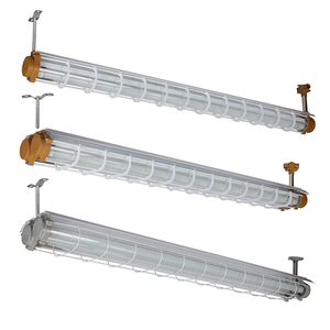 Ip65 2x18w 2x20w led tri-geçirmez patlama korumalı lamba fikstür t8 tek ve çift floresan lamba kimyasal fabrika yağ istasyonu için - Product Image 1