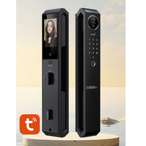 Tuya Wifi 3D Face elettronica Cerradura Inteligente citofono blocco automatico del cancello App serratura in legno - Product Image 1