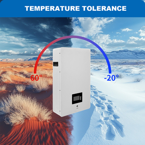 SUOER <strong>Solar</strong> Panel System for <strong>Home</strong> Complete Set OEM ODM Off Grid Pure Sine Wave <strong>Solar</strong> <strong>Power</strong> System - Product Image 5