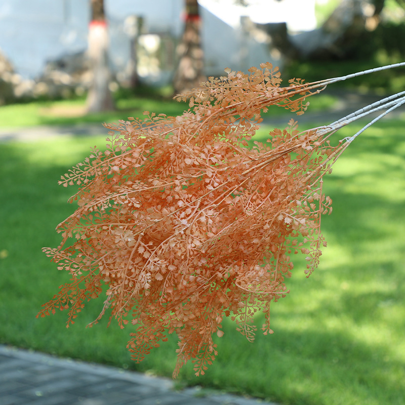 couleur orange