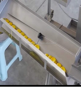 高速卵破砕機卵破砕機中国