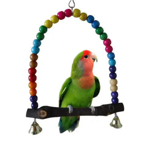 C & C noel hediyesi 2 bells kapalı ahşap plastik boncuk salıncak setleri papağan kuş oyuncak