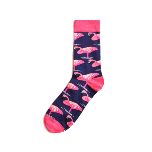 flamingos-A