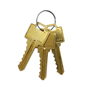 ชุดกุญแจ5-Pin สำหรับล็อคได้สูงสุด6ชุด - Product Image 2