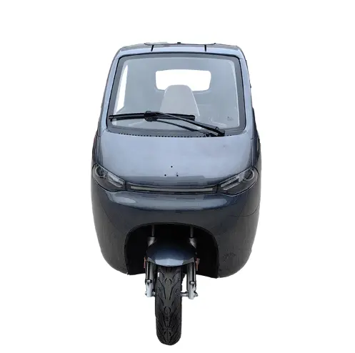 Factory Direct Selling Electric Cargo Tricycles Passenger Closed car three seats two doors electric vehicle,