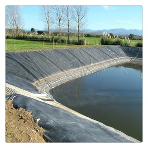 <strong>HDPE</strong>/LDPE/LLDPE Geomembrane for Environmental Protection Isotation Anti-Seepage Waterproof - Product Image 1