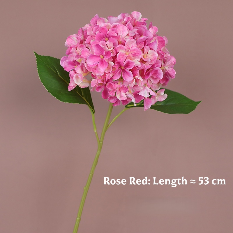 Rose rouge
