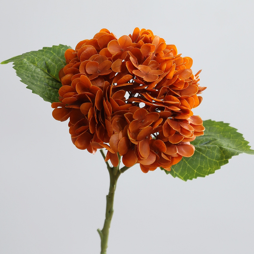 Arancione