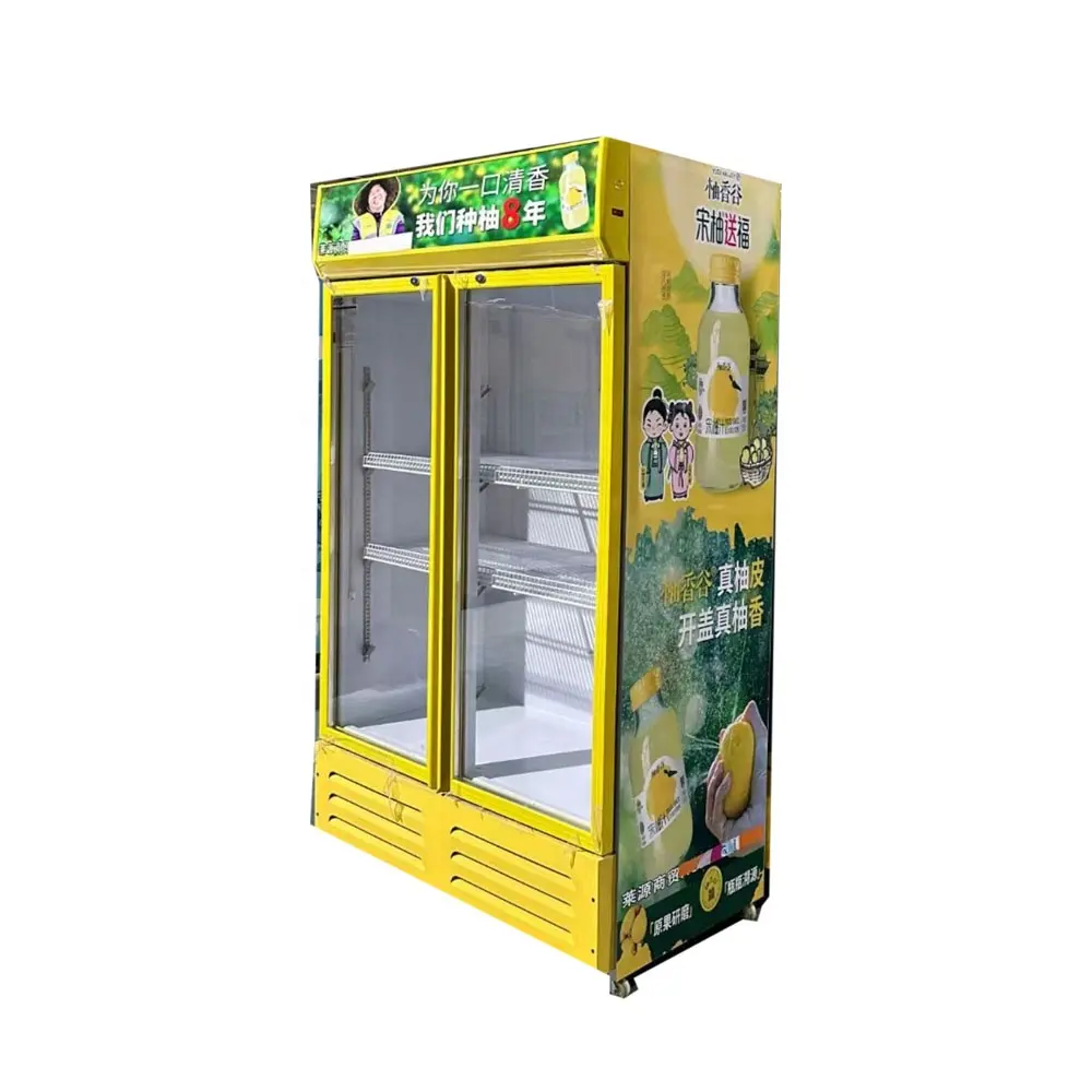En çok satan özelleştirilmiş 2 kapılar içecek bira meşrubat dolum makinesi soğutucu dondurucu mağazaları süpermarket restoran için düşük fiyat