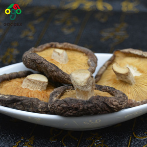 <strong>Shiitake</strong> Slice, <strong>Shiitake</strong> Mushroom, <strong>Shiitake</strong>, - Product Image 1