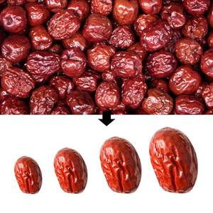 Industrial <strong>Dates</strong> <strong>Sorting</strong> <strong>Machine</strong> Plum <strong>Date</strong> Palm Fruit <strong>Sorting</strong> <strong>Machine</strong> - Product Image 6
