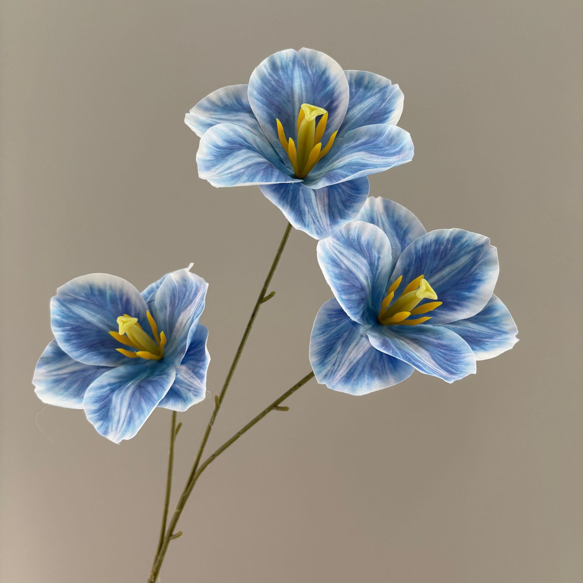 Tulipán azul modelo 3d
