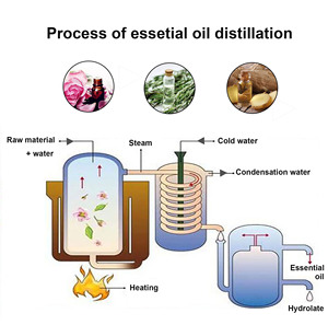 Essential <strong>Oil</strong> Distiller/<strong>Cananga</strong> Odorata Essential <strong>Oil</strong> Extractor Distillation Equipment - Product Image 4