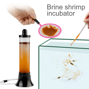 Bộ dụng cụ ấp trứng Artemia tự làm để bán - Product Image 5