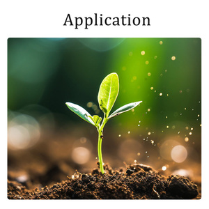 Yida công nghệ sinh học cao hiệu quả nông nghiệp protease Enzyme | Phân bón hữu cơ | đại lý cải thiện đất | tăng trưởng thực vật - Product Image 2