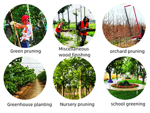 Máy Nghiền Chi Nhánh Di Động Máy Nghiền Chi Nhánh Động Cơ Diesel Máy Nghiền Lâm Nghiệp Phủ Xanh Đường Phố Máy Nghiền Rơm - Product Image 6