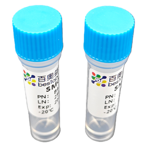 مجموعة تفكك المبايض للثديية الصغيرة (10 اختبارات) تفكك الأنسجة لأغراض البحث ISO BA3352 - Product Image 4