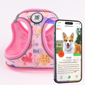QR <strong>Code</strong> Smart ID Private Label Custom Logo Luxury <strong>Designer</strong> Service Neoprene Nylon Pink Tiny Small Dog Walker Harness With Name - Product Image 1