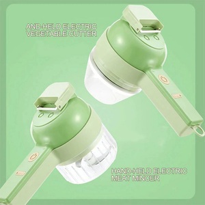 4 in 1 çok fonksiyonlu elektrikli sarımsak kesici sebze kesicisi mutfak kıyma makinesi Mini Chopper motosiklet meyve sebze araçları - Product Image 5