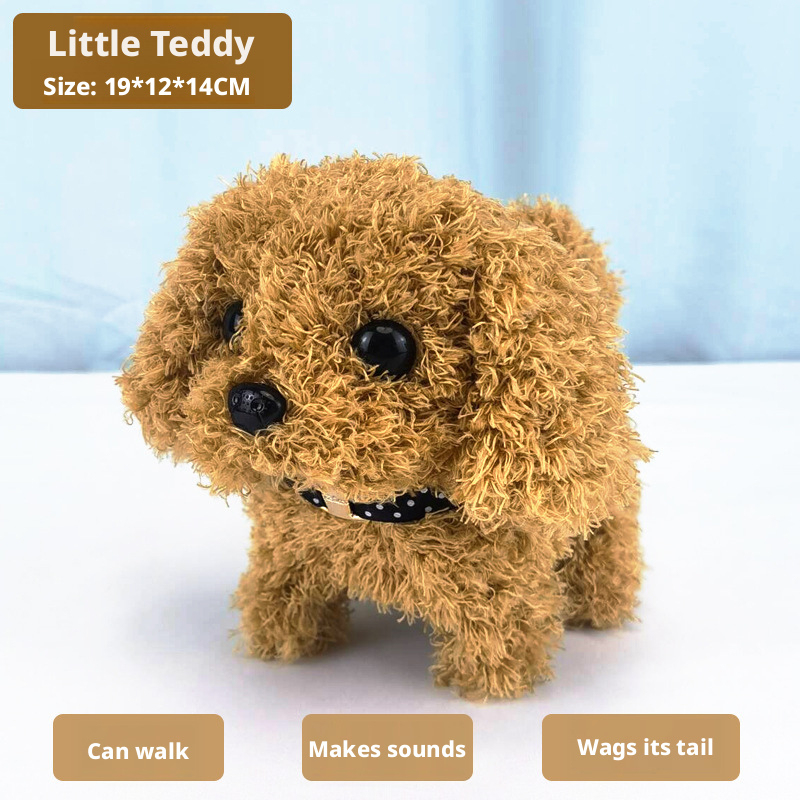 Petit Teddy