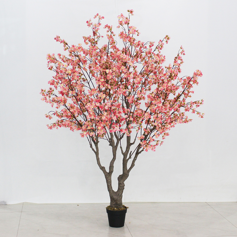 200cm mini cherry tree