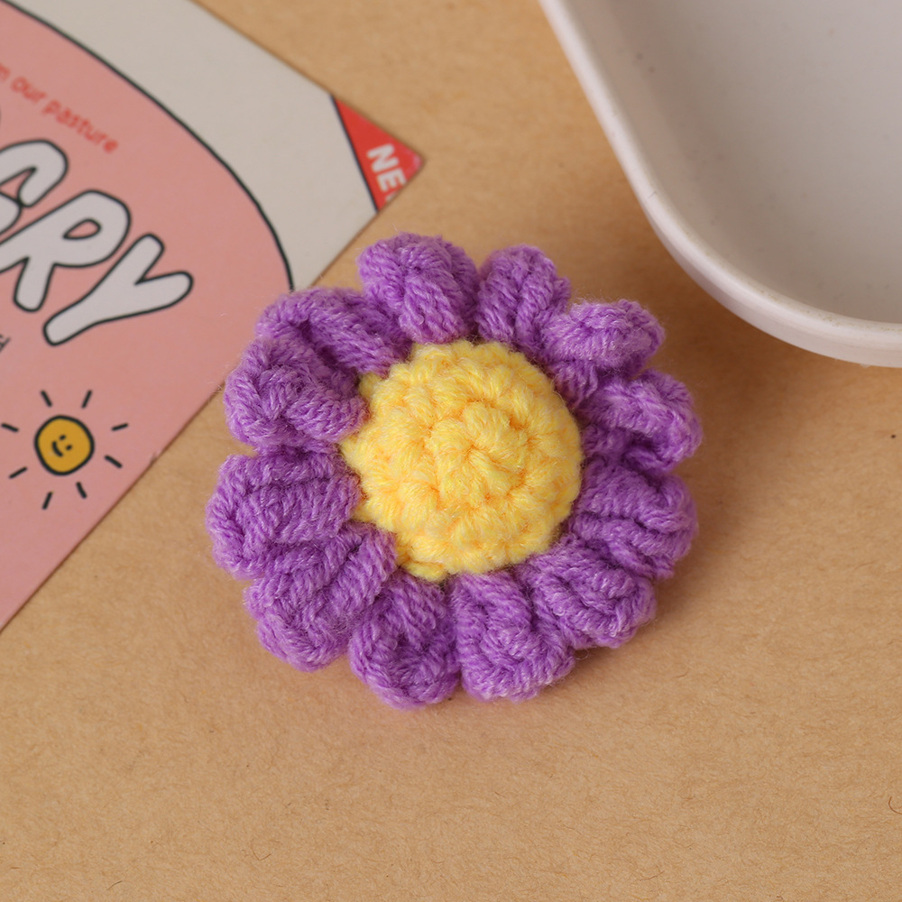 Capitules de fleurs violettes marguerite