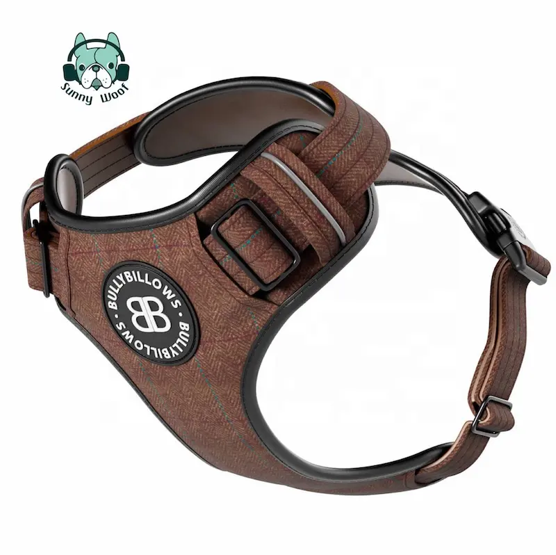 Harness anjing Neoprene desainer khusus Set Harness anjing yang dipersonalisasi dengan tali kerah dan dasi kupu-kupu