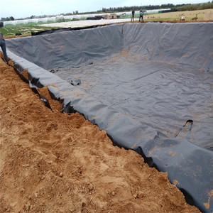 1mm <strong>HDPE</strong> Geomembrane Liners - Product Image 2