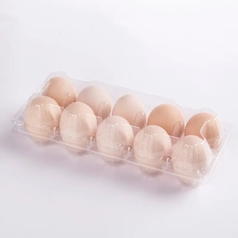 PET temizle dikdörtgen plastik Blister bıldırcın yumurta tepsisi, tek kullanımlık yumurta Organizator kutusu, kapaklı bıldırcın yumurta durumda ambalaj