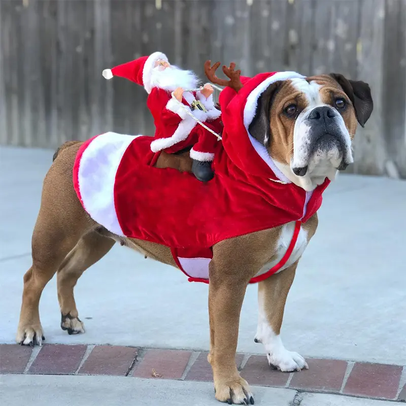 犬の冬のペットクリスマスストッキング衣装パグ犬のクリスマスコスチュームサンタ乗馬スーツクリスマスクリスマス猫犬の服