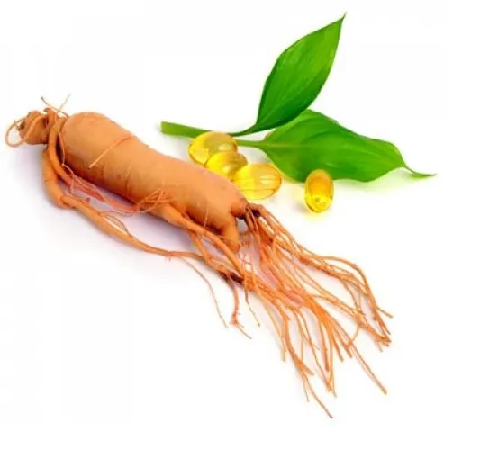 Supply natural Ginseng extract Ginseng essential oil 98% ginseng oil