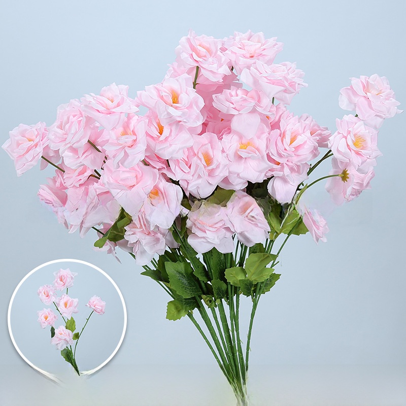 6 pieces/1 branch