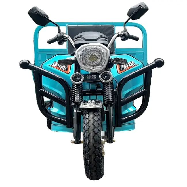 중국 triclo 제조 업체 생산 새로운 디자인 1200W 모터 성인 사용 전기화물 세발 자전거 3 바퀴 판매