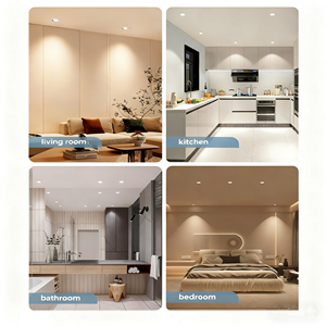 Tại chỗ lumineux <span class=keywords><strong>LED</strong></span> plafond SAA 4W 6W chuyển đổi ánh sáng tại chỗ trong nhà lõm dẫn ánh sáng trần cho nhà thay đổi độ sáng đèn sân khấu downlights - Product Image 4