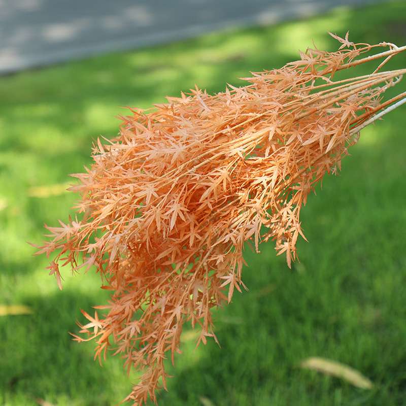 orange color