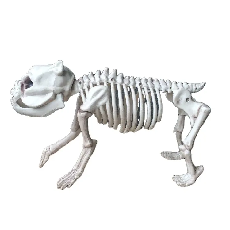 Halloween Decor Groothandel Spookhuis Pvc Hond Skelet Props 2021 Nieuwe Collectie Van Hoge Kwaliteit Halloween-Decor Esqueletos