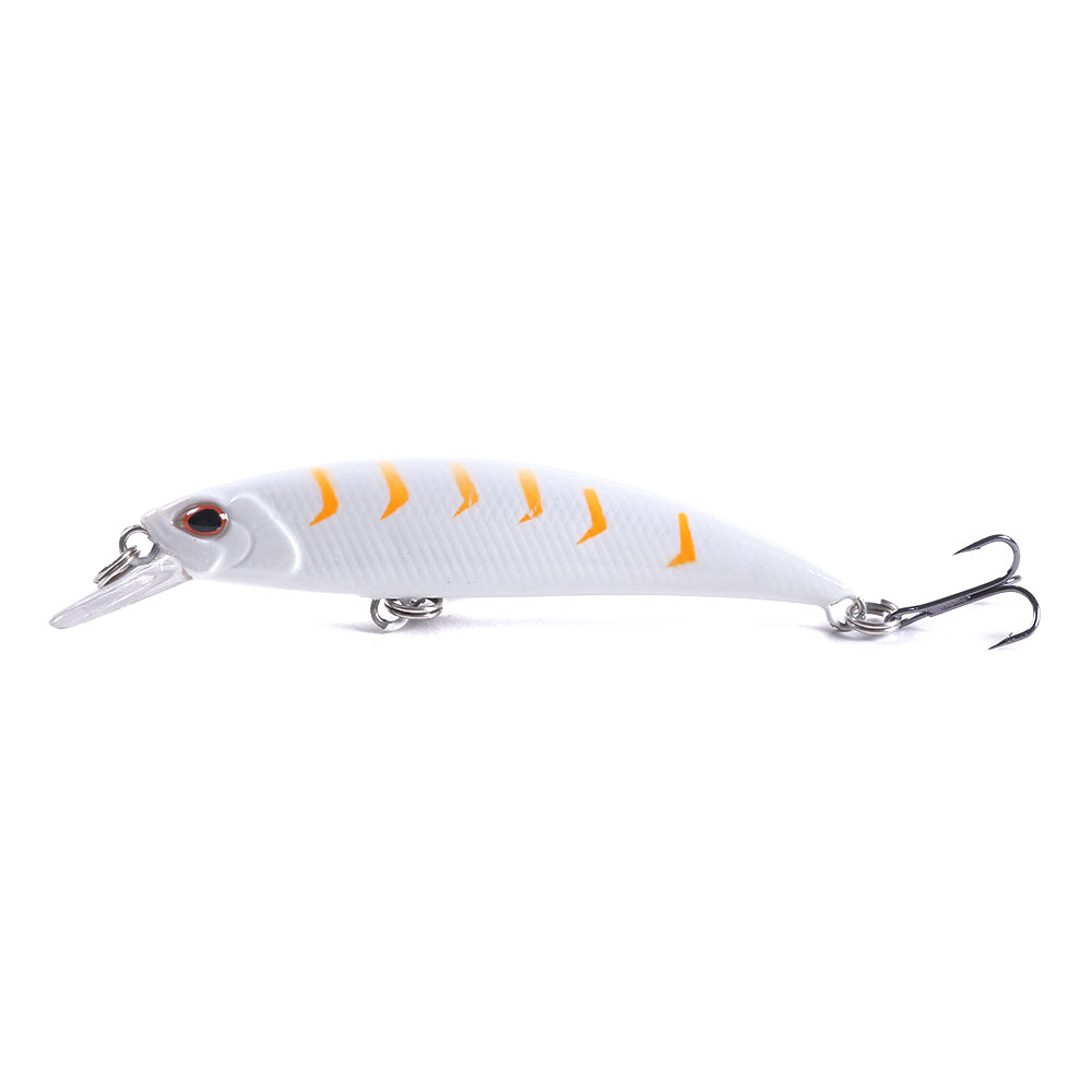Minnow-013-4
