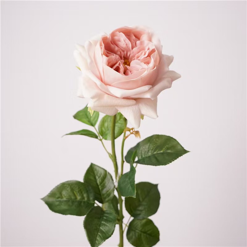 Eau rose