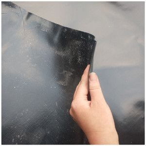 Villa bina ilk kat yağışlı sezon koruma Dapeng HDPE siyah membran koruyucu Film nem su geçirmez geomembran - Product Image 5