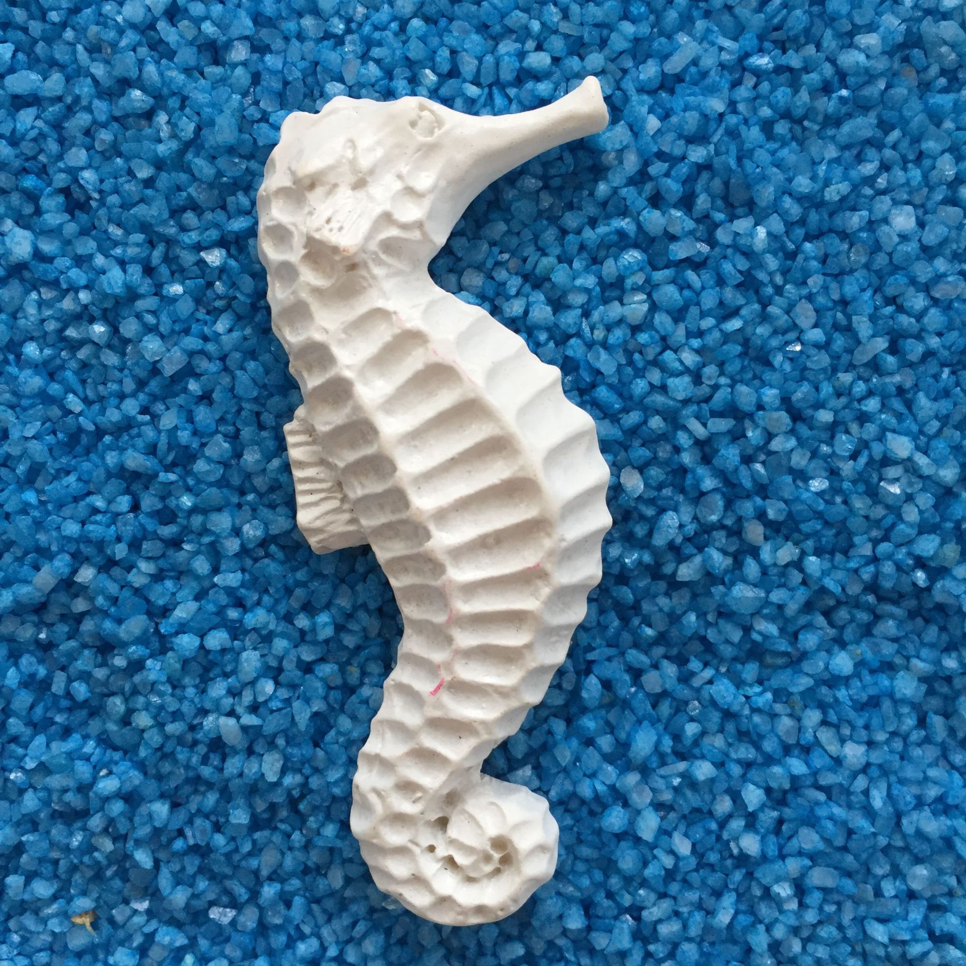 Ippocampo 6,5 cm
