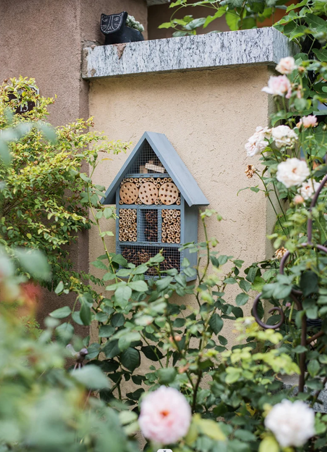 ธรรมชาติ