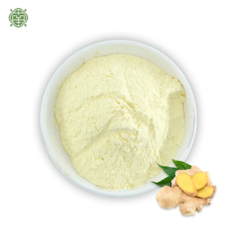 Nanqiao garcinia cambogia extrait poudre ginseng extrait poudre aloe vera extrait poudre Gingembre