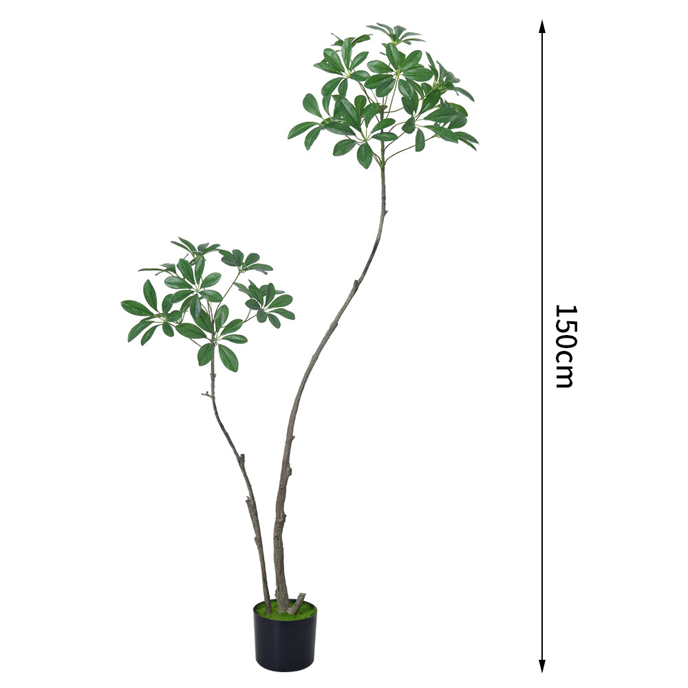 verde b