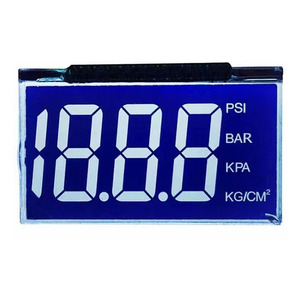 Display OLED reale 3.12 "256*64 25664 punti modulo LCD grafico schermo Display LCM supporto Controller schermo SPI