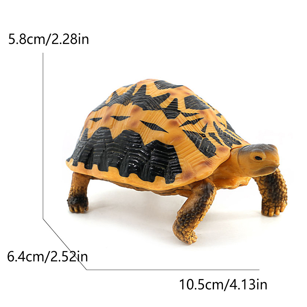 3874 spider web tortoise-968g