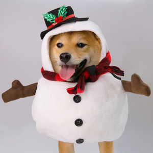 春秋のペットファッション-面白いと斬新な衣装、猫と犬のための愚かなスタンドアップ変換雪だるま